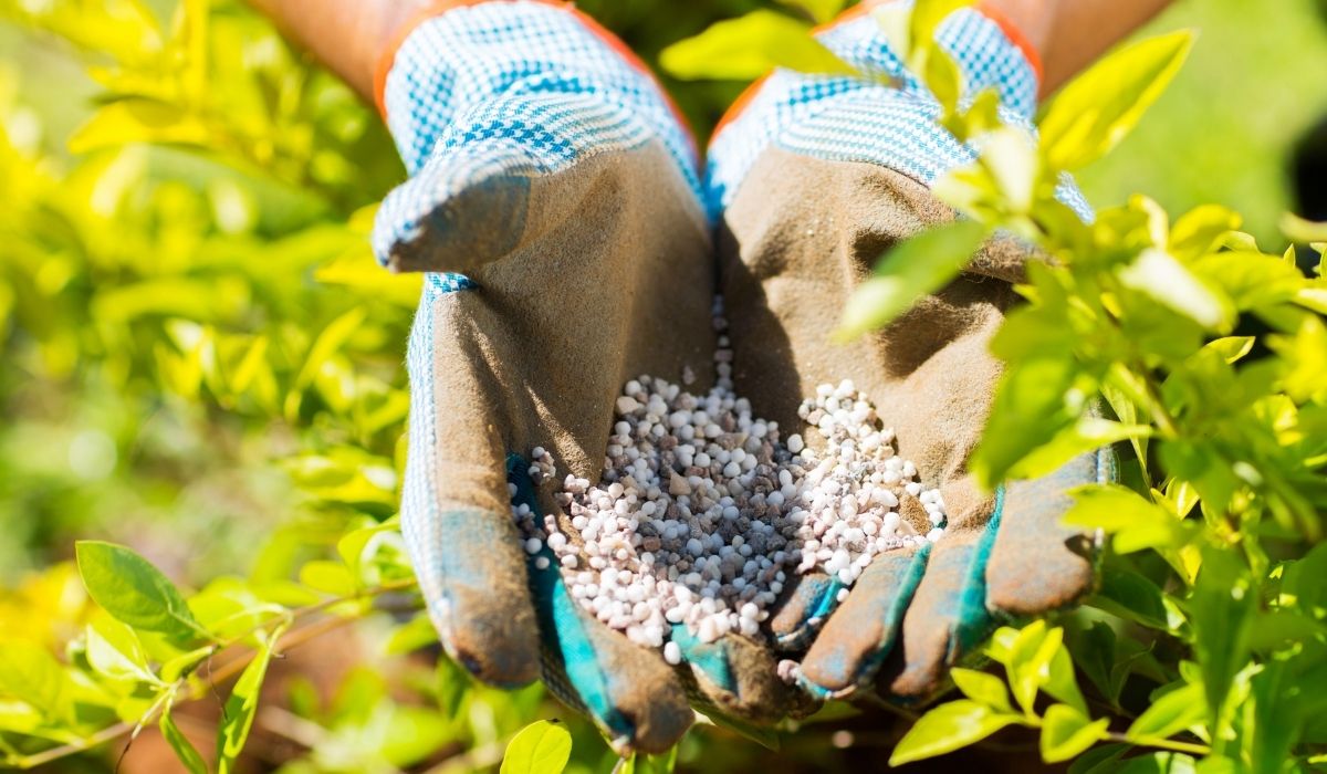 A Guide On How To Customize Garden Fertilizer