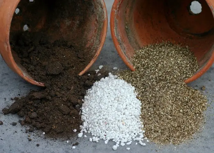 Can you reuse potting soil