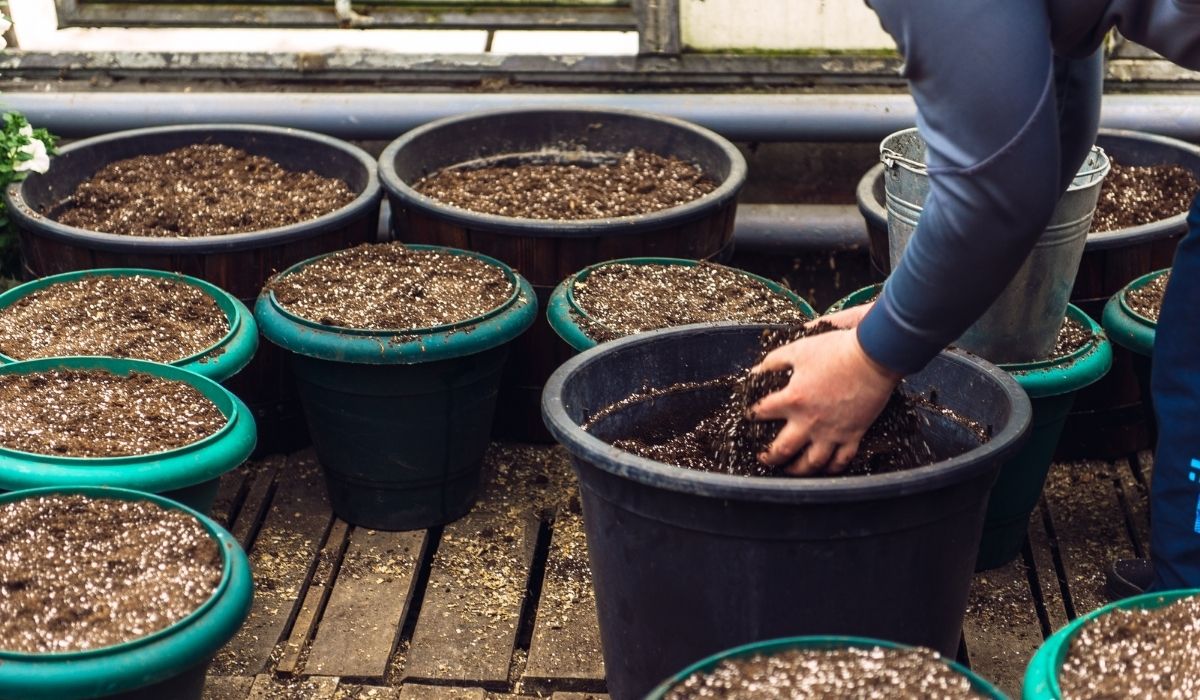 The Perfect Potting Soil For Indoor Plants