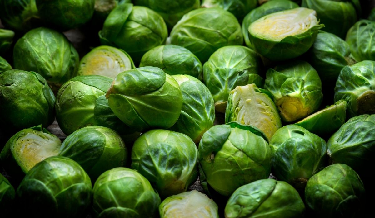 How To Grow Brussel Sprouts From Scraps
