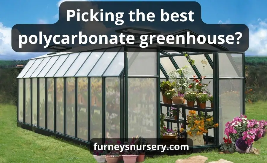 Top 3 The Best Polycarbonate Greenhouse: (New Buying Guide)