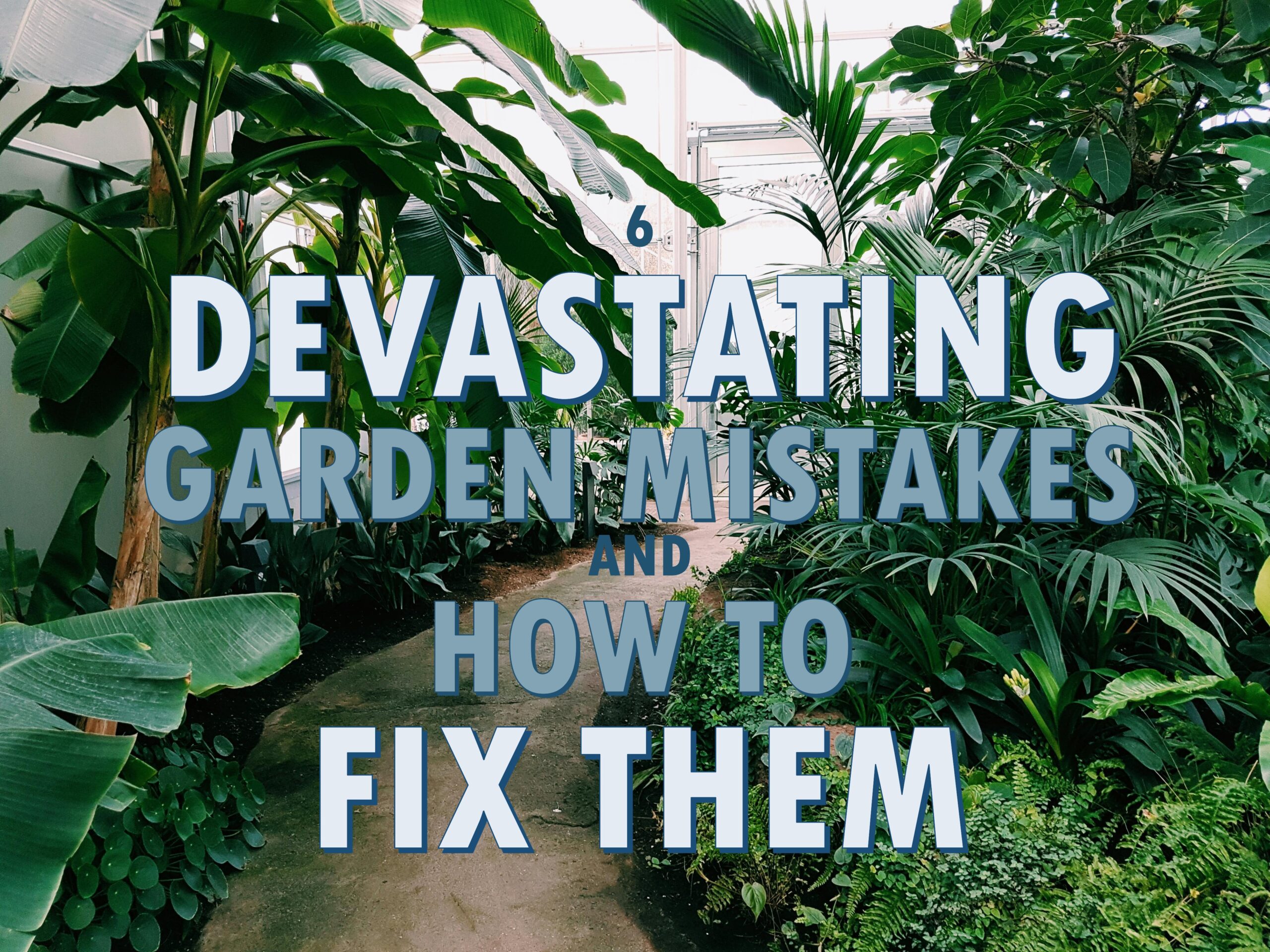 6 Devastating Garden Mistakes