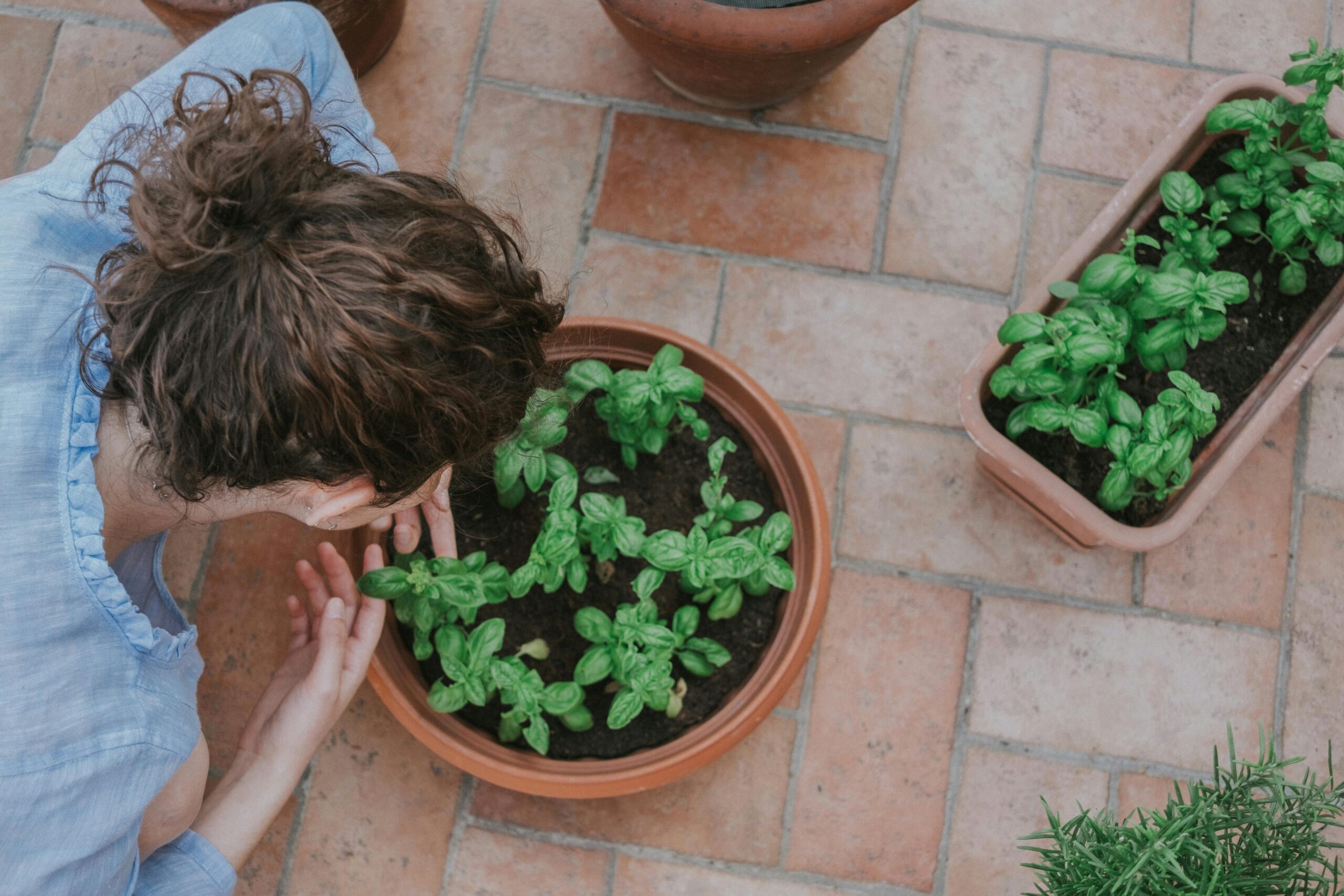 How to Grow Vegetables in Containers