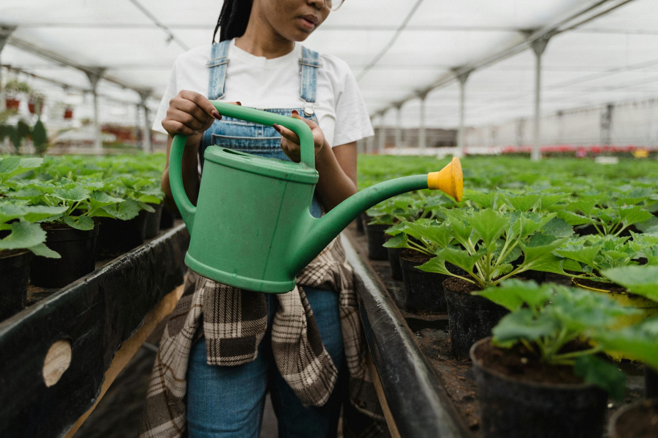 How to Grow Vegetables in Containers